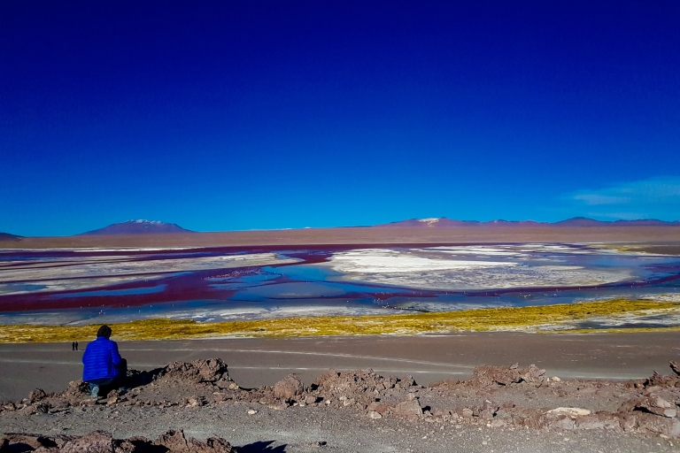 La Paz: tour en autobús de 5 días por el Salar de Uyuni e Isla Incahuasi