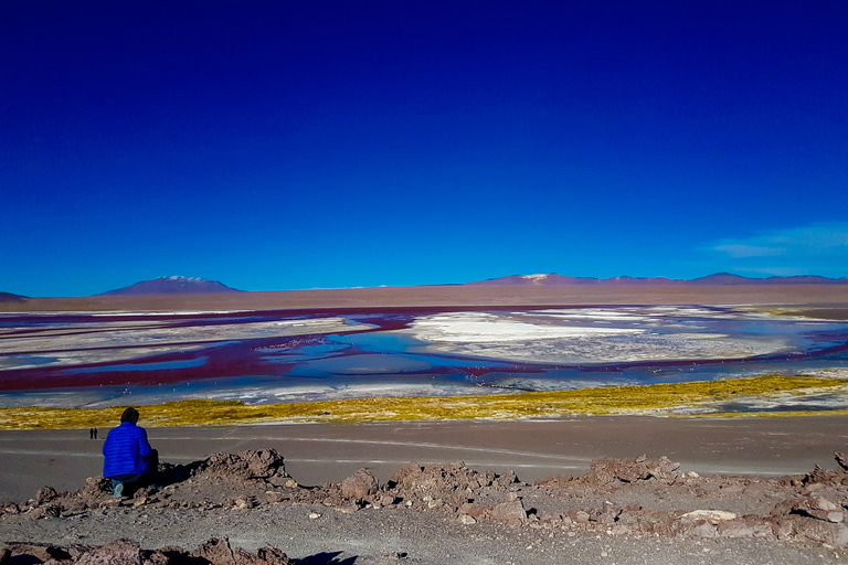 La Paz: visite en bus de 5 jours des salines d'Uyuni et de l'île Incahuasi