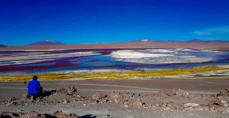 Galería de fotos para redes