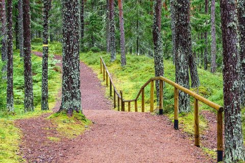 Lahemaa : visite du plus ancien parc national d&#039;EstonieLahemaa : visite du plus ancien parc national d&#039;Estonie (8 heures)