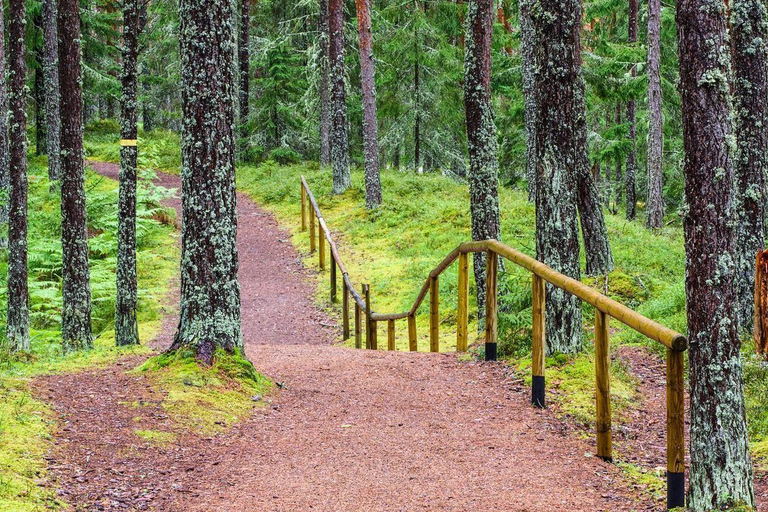 Lahemaa : visite du plus ancien parc national d&#039;EstonieLahemaa : visite du plus ancien parc national d&#039;Estonie (8 heures)