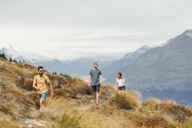 Visite en petit groupe de 21 jours Grand Kiwi Experience