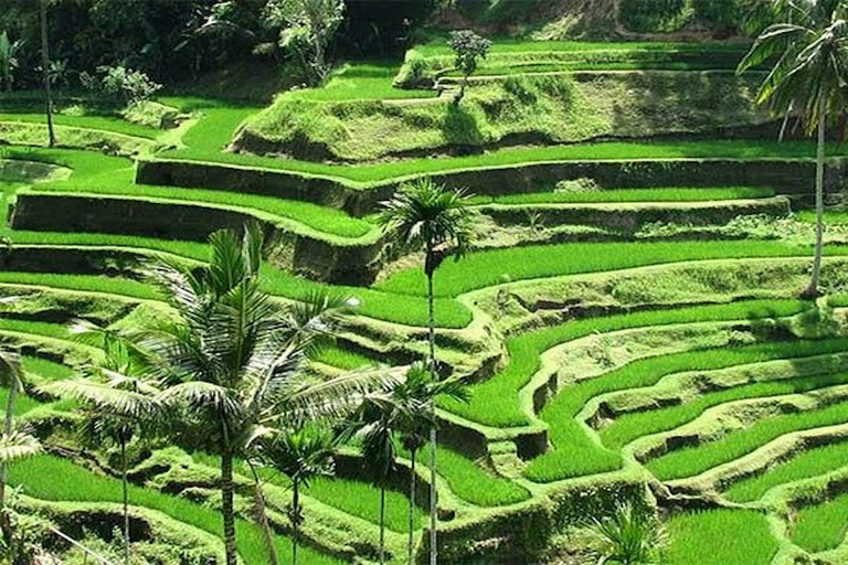 Ubud: Private Abendtour mit Legong Dance Performance