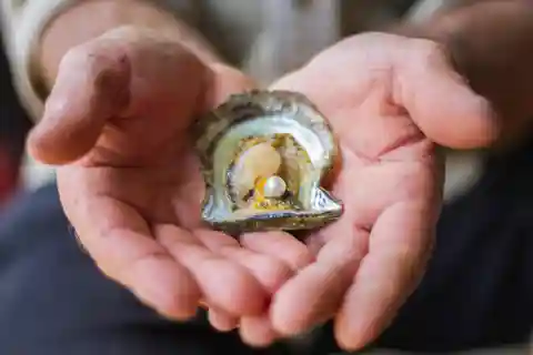 Shell to Showroom - Sydneys enda upplevelse av en pärlfarm