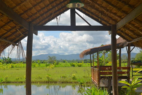 Von Chiang Mai aus: Mae Taeng Tal und Wasserfälle Radtour