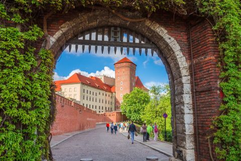 Kraków: prywatna wycieczka piesza po zamku na Wawelu