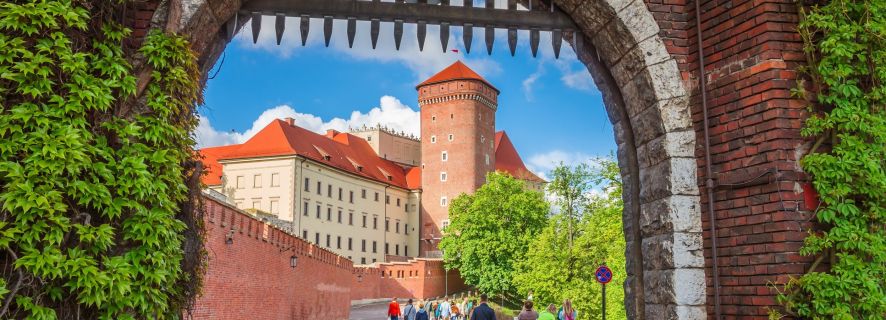 Cracovia: tour privato a piedi del castello di Wawel