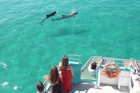 Setúbal, Portugal: Catamaran Dolphin Watching Tour