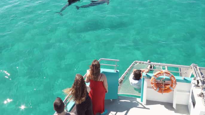 setúbal portugal tour de avistamiento de delfines en catamarán