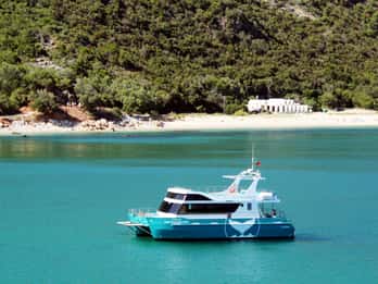 Setúbal : Observation des dauphins