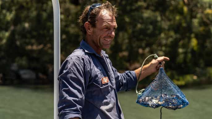 hawkesbury river pearl farm express tour