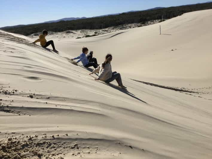 Port Stephens Stockton Sand Dunes 4wd Tag Along Tour Getyourguide