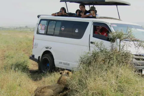 Nairobi National Park Half-Day Guided Game Drive With Pickup