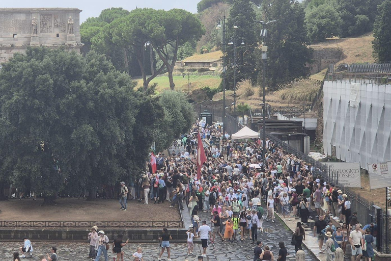 Small Group Guided Tour Colosseum Roman Forum, Palatine Hill Standard Tickets