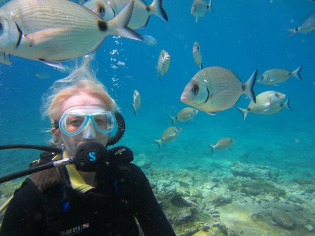 Visit Bodrum Scuba Diving Trip including lunch in Bodrum