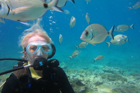 Bodrum: Excursión de submarinismo con almuerzo incluidoOpción de punto de encuentro