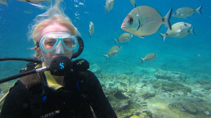 bodrum halfday scuba diving trip