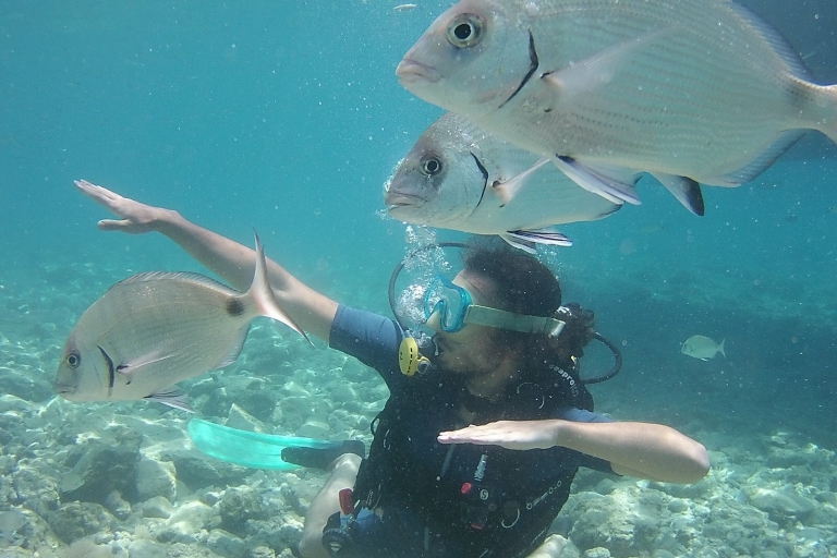 Bodrum : excursion de plongée sous-marine avec déjeunerOption de point de rencontre