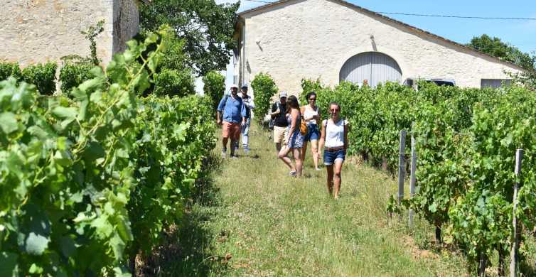 From Bordeaux Half Day Saint Émilion Tour and Wine Tasting GetYourGuide