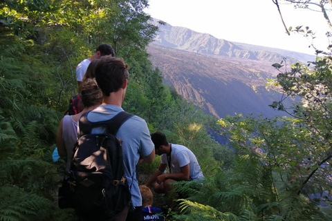 Catania: Mount Etna Sunset Jeep TourGuided Tour