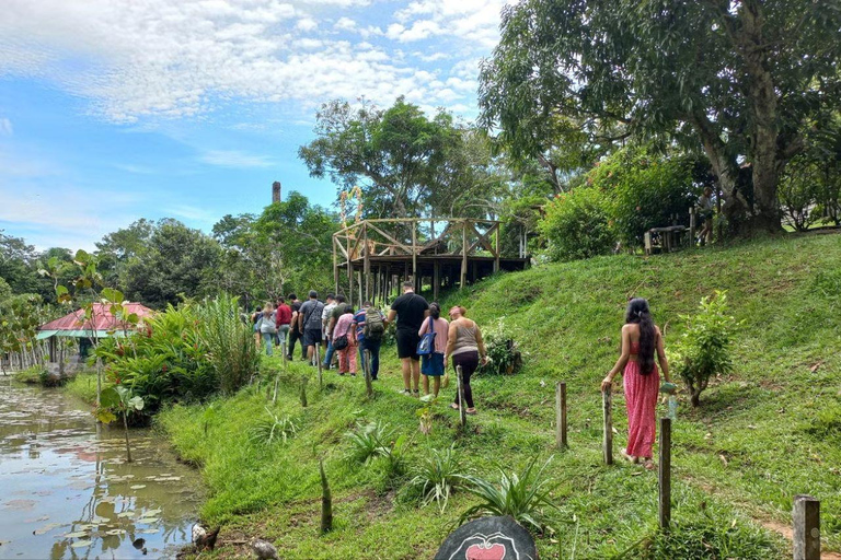 Excursión a la Isla de los Monos