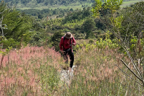 Pichucalco: Chichonal Volcano Hike with Cacao & Meal