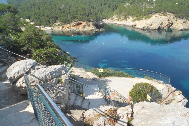 Ibiza: visite guidée de la grotte de Can Marçá