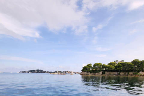 Excursión en barco grupo mixto, natación snorkeling Niza Villefranche