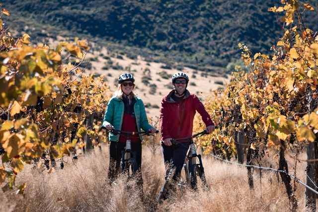 Visit From Queenstown Self-Guided Wineries Bike Tour in Queenstown