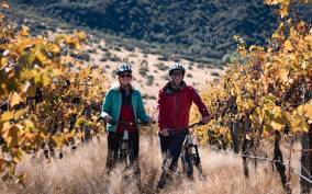 From Queenstown: Self-Guided Wineries Bike Tour