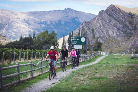 Vanuit Queenstown: Zelf begeleide fietstocht door wijngaardenOptie voor een halve dag