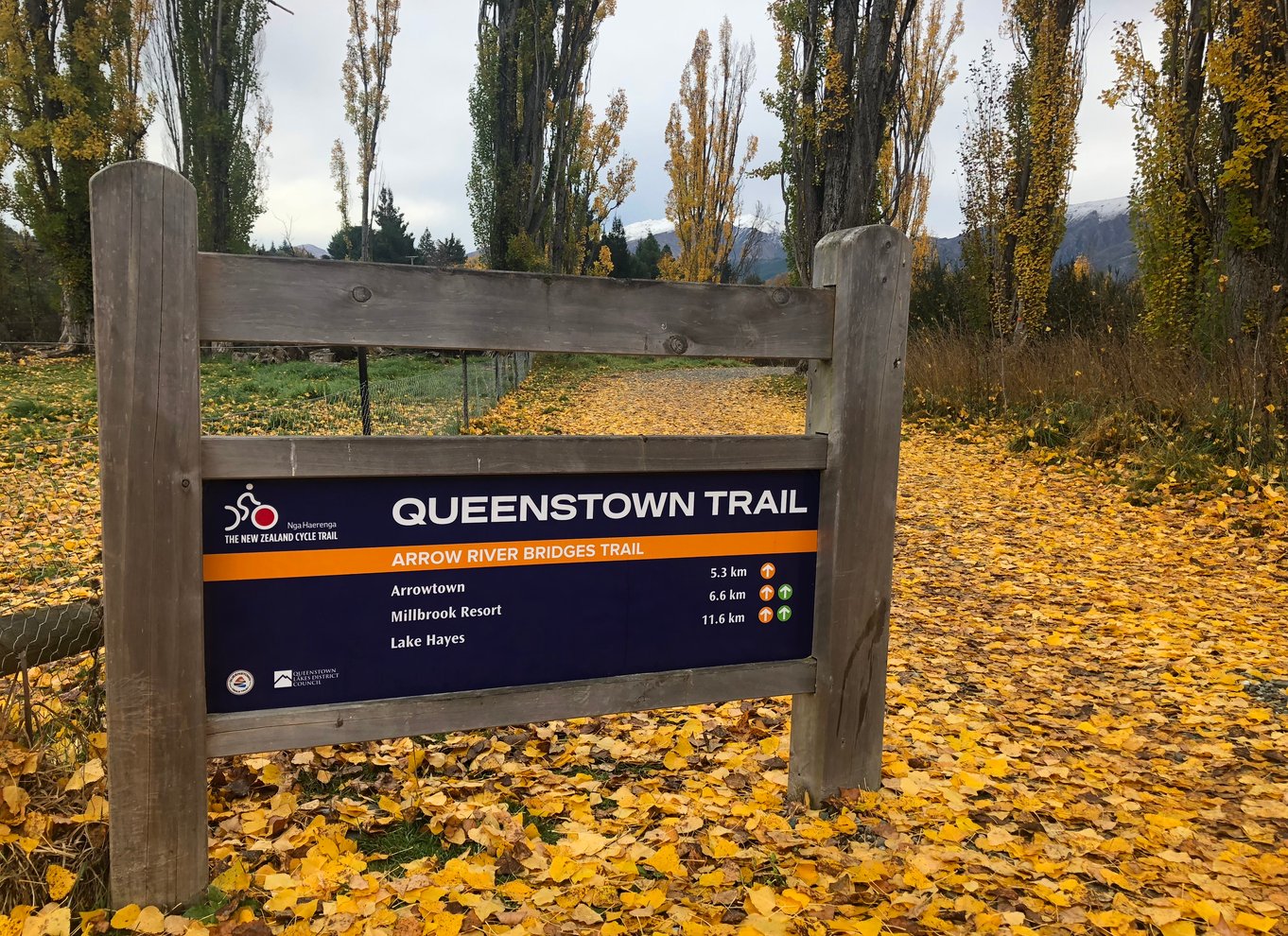 Queenstown: Selvguidet cykeltur på Arrow Bridges Trail