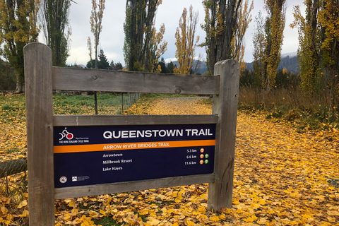 Queenstown: Passeio de bicicleta autoguiado na trilha Arrow Bridges