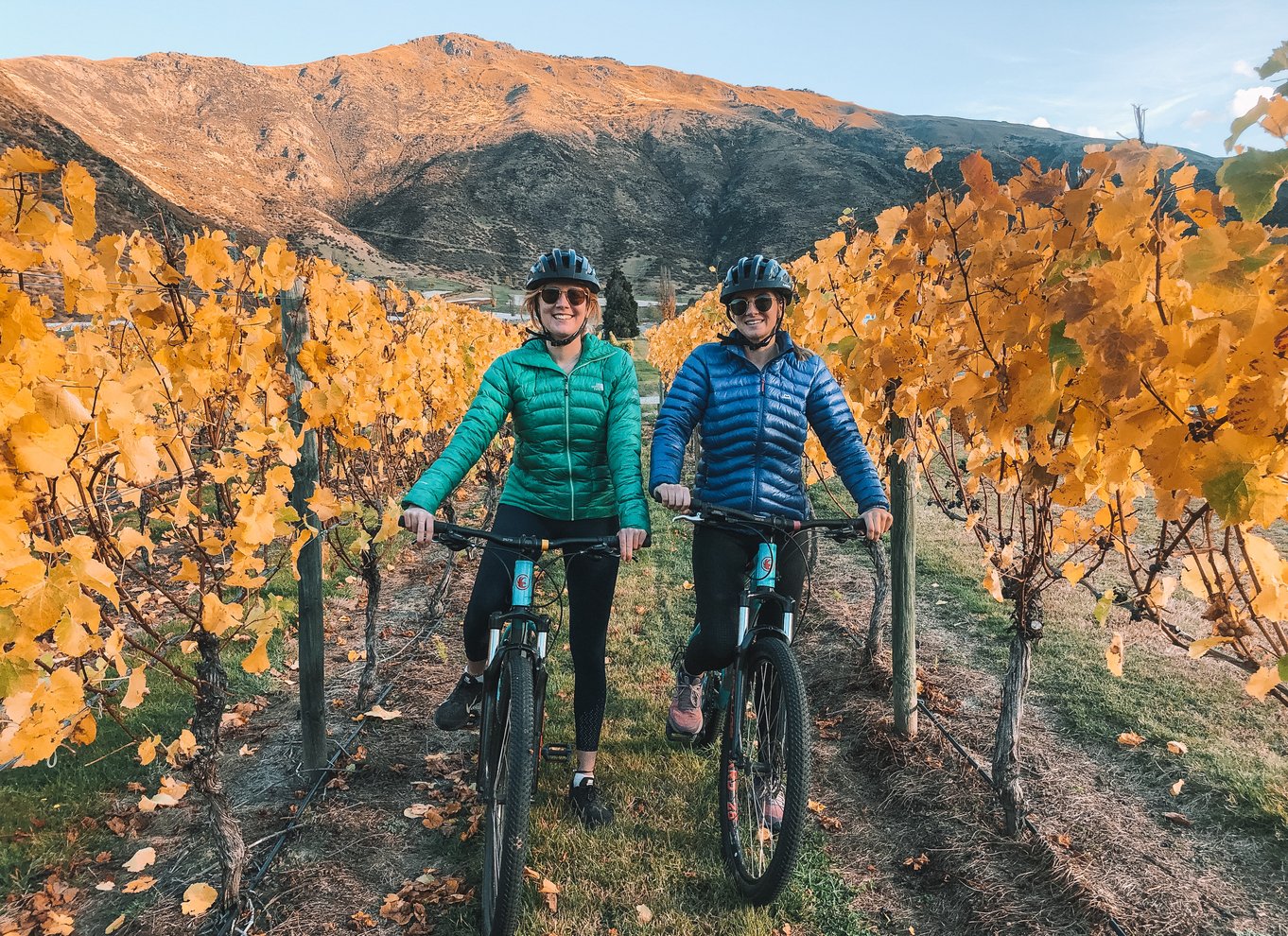 Queenstown: Selvguidet cykeltur på Arrow Bridges Trail