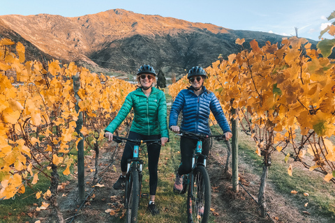 Queenstown: Passeio de bicicleta autoguiado na trilha Arrow Bridges