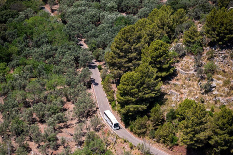 All of Mallorca: Exclusive Experience in an Intimate Group (12 people max.)