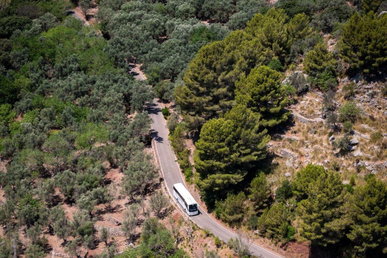 All of Mallorca: Exclusive Experience in an Intimate Group (12 people max.)