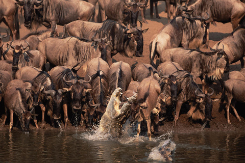 阿鲁沙：4日中档住宿游猎之旅阿鲁沙：4天中档住宿游猎之旅