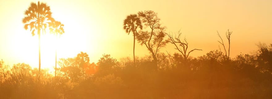 Excursion d'une journée dans le delta de l'Okavango