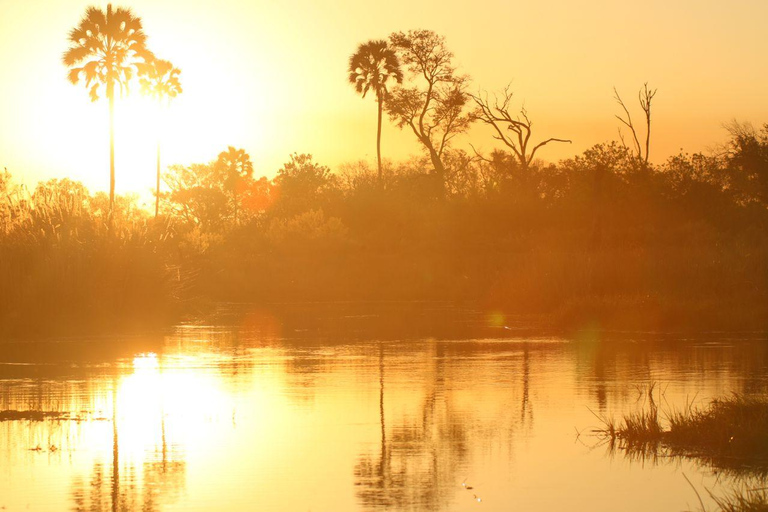 Excursion d'une journée dans le delta de l'Okavango