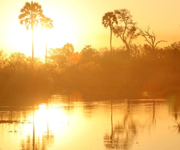 Excursión de un día al Delta del Okavango