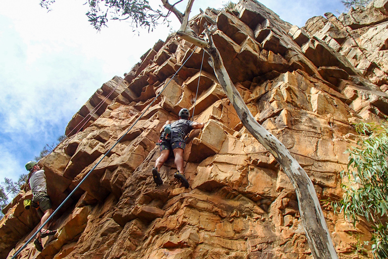 Adelaida: tour de escalada y rappel en Morialta