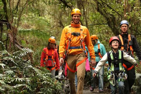 Illawarra Fly Zip-line Tour and Treetop Walk