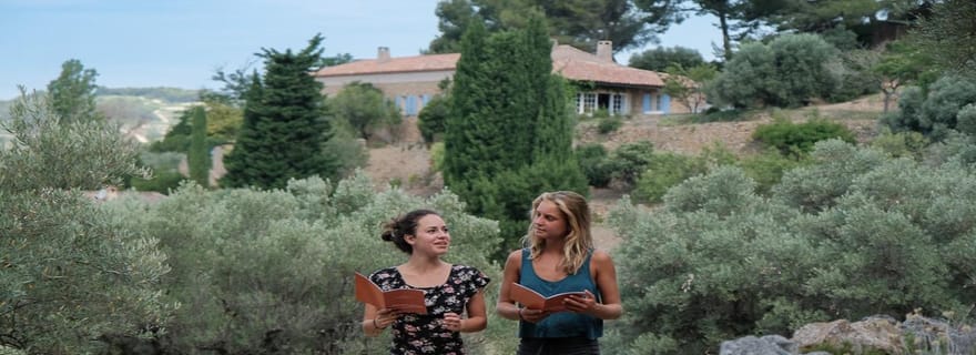 Bandol : promenade dans les vignes et dégustation