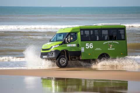 Doñana National Park: Dunes and Virgin Beaches Tour