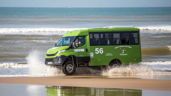 doñana national park dunes and virgin beaches tour