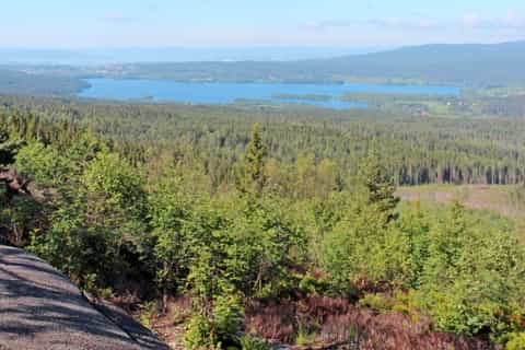 Oslo: Half-Day Panoramic Lakes and Forests Hiking Tour