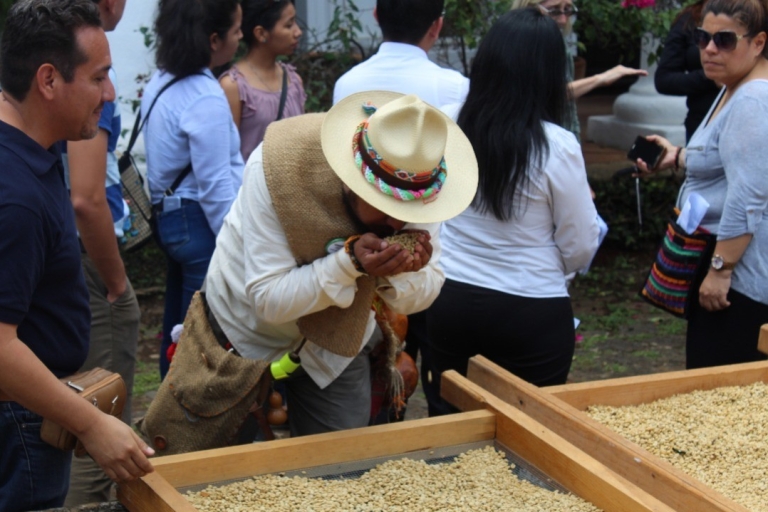 De Veracruz ou Boca del río : visite du café à CoatepecVisite du café