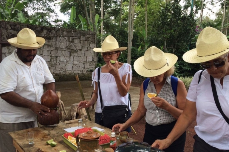 Ab Veracruz oder Boca del Río: Kaffeetour in CoatepecKaffeetour