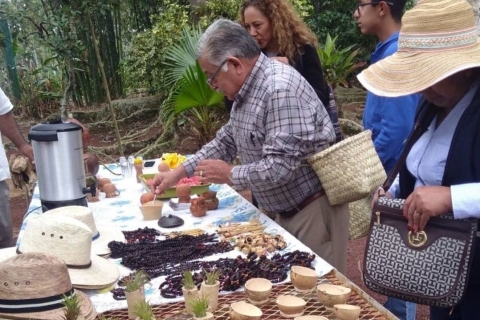 Van Veracruz of Boca del río: koffietour in CoatepecKoffie Tour